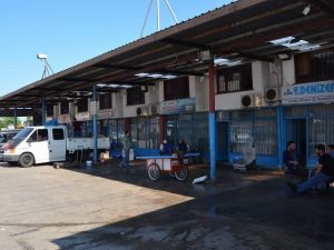Trabzon Balık Bakımından Son Yılların En Verimsiz Ramazan’ını Yaşıyor