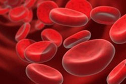 Kan Grubunuzu yeniden öğrenin! Kan grubunuz Bombay olabilir!