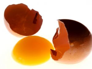 Her Gün Bir Yumurta Bebek Gelişimine Katkı Sağlıyor