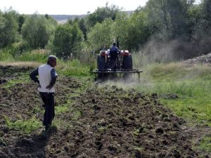 Diyarbakır Karpuzu Artık Festivaller İçin Üretiliyor
