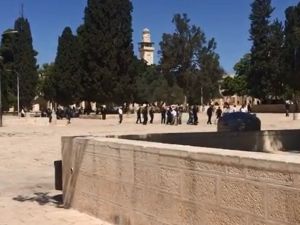 Yahudi Öğrenciler El-aksa Camii’ni Bastı