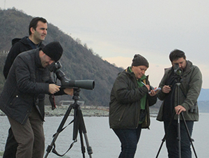 Doğu Karadeniz'de En Fazla Su Kuşu Türü Rize'de Tespit Edildi