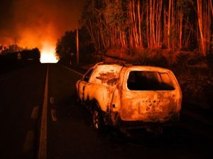 Ölü Sayısı 43’e Yükseldi