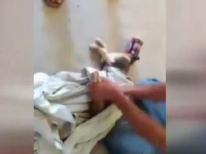 Kediyi Ölümden Böyle Kurtardılar