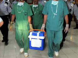 Organ Bağışı 4 Aileye Can Verdi