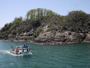 Bu Yılın İlk 5 Aylık Döneminde Doğu Karadeniz Bölgesi’ni 530 Binin Üzerinde Turist Ziyaret Etti