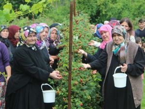 Ahududu Dalında Kaldı, Köylü Kadınlar İsyan Etti
