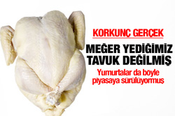O yediklerimiz meğer tavuk değilmiş!