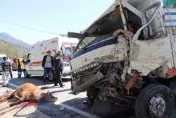 Artvin'de trafik kazası 5 yaralı