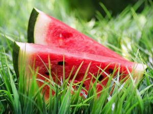 Kanserin Düşmanı ’Karpuz’