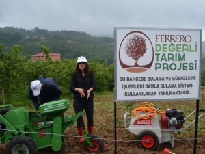 Fındık Bahçelerinde Devrim