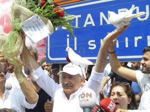 Kafasına Güvercin Kondu