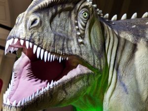 81 Milyon Yıllık Dinozor Dişleri Bulundu