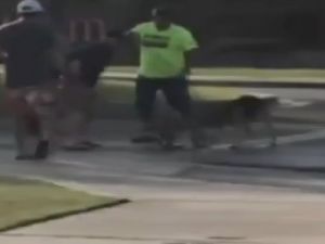 Köpeği Kurtardı, Kolunu Kaptırdı