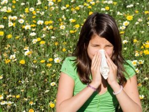 Yaz Gribine Dikkat !