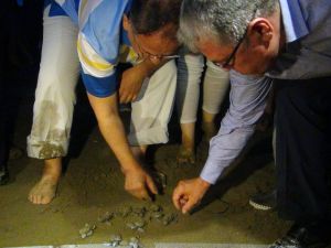 Bakan Özhaseki Yavru Caretta Carettaları Denizle Buluşturdu