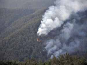 Hatay’da Orman Yangını Sürüyor