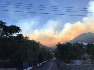 Bodrum’daki Yangında 20 Hektar Alanı Kül Oldu