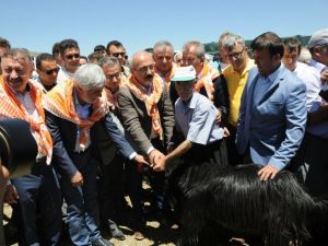 Bakan Elvan’dan Terörle Mücadele Vurgusu