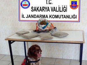 Sakarya’da 2 Kilo Bonzai Ele Geçirildi
