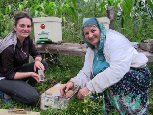 Ana Kız Kraliçe Yetiştiriyor
