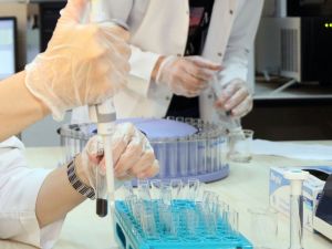 Biyogüvenlik Kurulundan ’Gdo’ Kararı