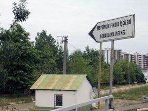 Giresun’da Mevsimlik Fındık İşçilerine Modern Konaklama Merkezi
