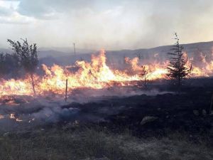Afyonkarahisar’da Orman Yangını