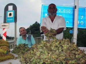 Fındık Yola İndi