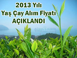 2013 Yaş Çay Fiyatı Açıklandı