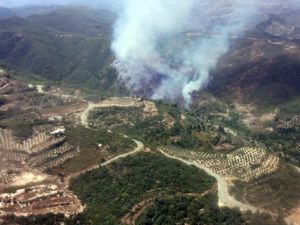 Hatay’da Orman Yangını