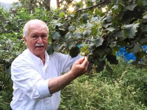 Chp Giresun Milletvekili Bülent Bektaşoğlu: