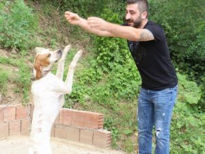 Trabzon’da Sahibiyle Müzik Eşliğinde Kolbastı Oynayan Köpek Şaşırtıyor