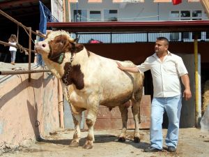 Fiyatı Dudak Uçuklattı