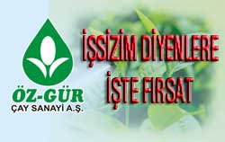 Rize'de 100 Kişiye İş İmkanı