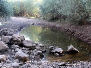 Çöl Sıcakları Nehri Kuruttu