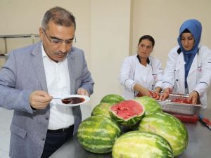 Karpuz Pekmezi Ekonomiye 250 Milyon Lira Katkı Sağlayacak