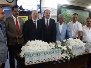 80 Kilogram Pamuk 40 Bin Liraya Satıldı
