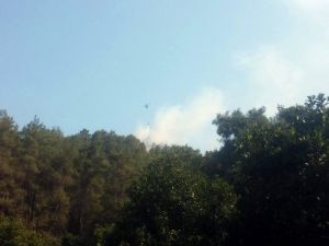 Antalya’da Orman Yangını