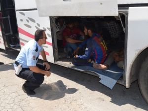 Otobüsten 119 Göçmen Çıktı