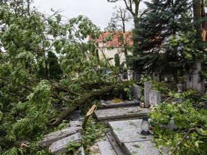 Polonya’da Fırtına: 4 Ölü, 28 Yaralı