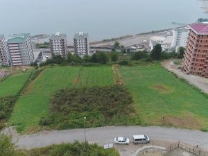 Yalıncak Karpuzu Betonlaşma Kurbanı
