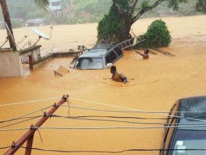 Sierraleone’de Toprak Kayması: 312 Ölü