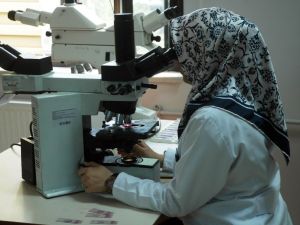 200 Hasta Üzerinde Yapılan 3 Yıllık Çalışmayla İspatlandı