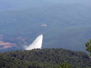 Muğla Ve Aydın’da Orman Yangını