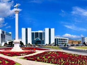 Mide Kanseri, Ülser Ve Lenfomaya İyi Geliyor