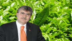 Yeşil çaya talep artıyor