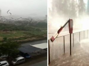 Hong Kong’u Tayfun Vurdu