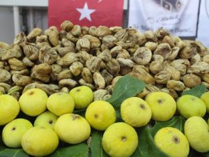 Kuru İncir Rekolte Tahmini Açıklandı