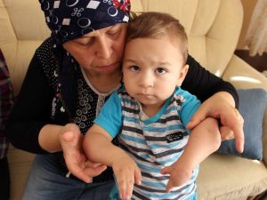 Minik Yunus Yardım Bekliyor